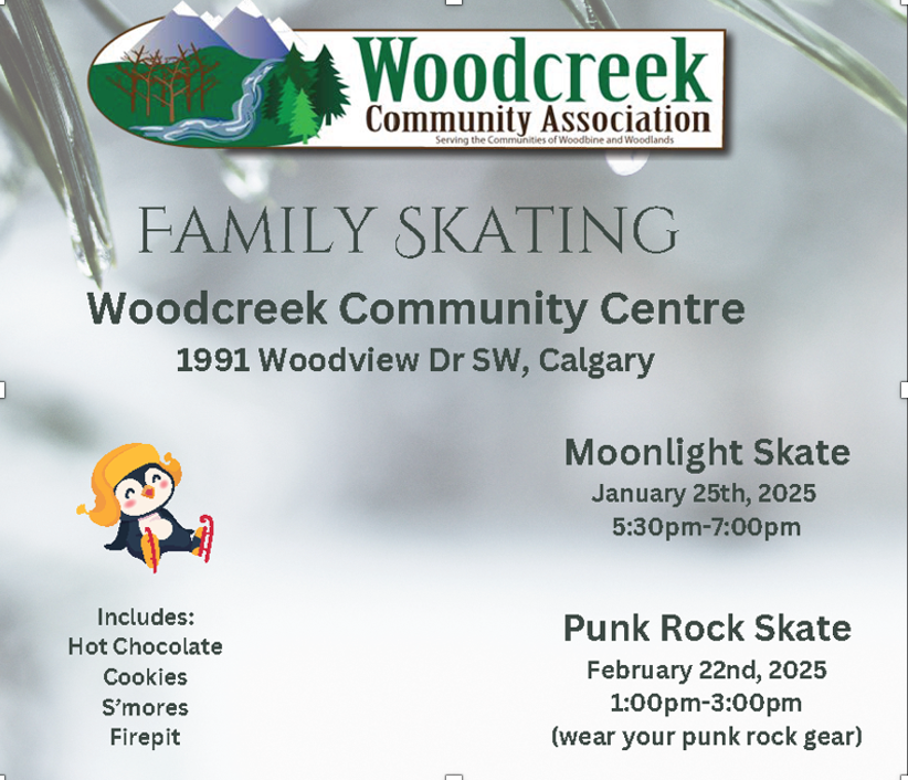 Screenshot 2025 01 17 at 3