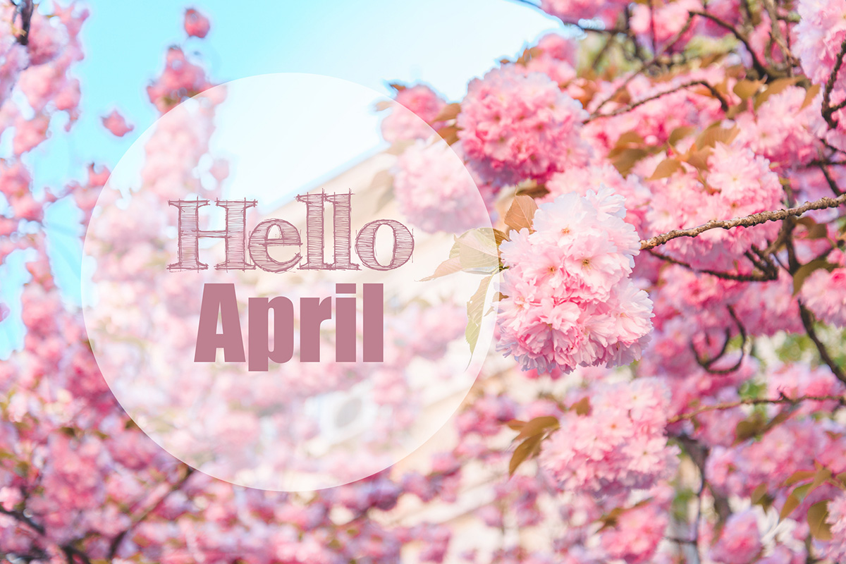 Flowers, Hello April