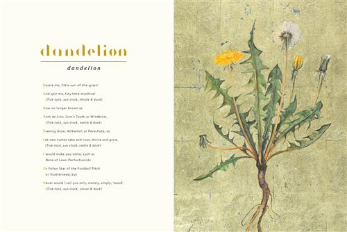 BNCImage API cc149a29 b169 4882 93b8 f83966fdc2fa grande