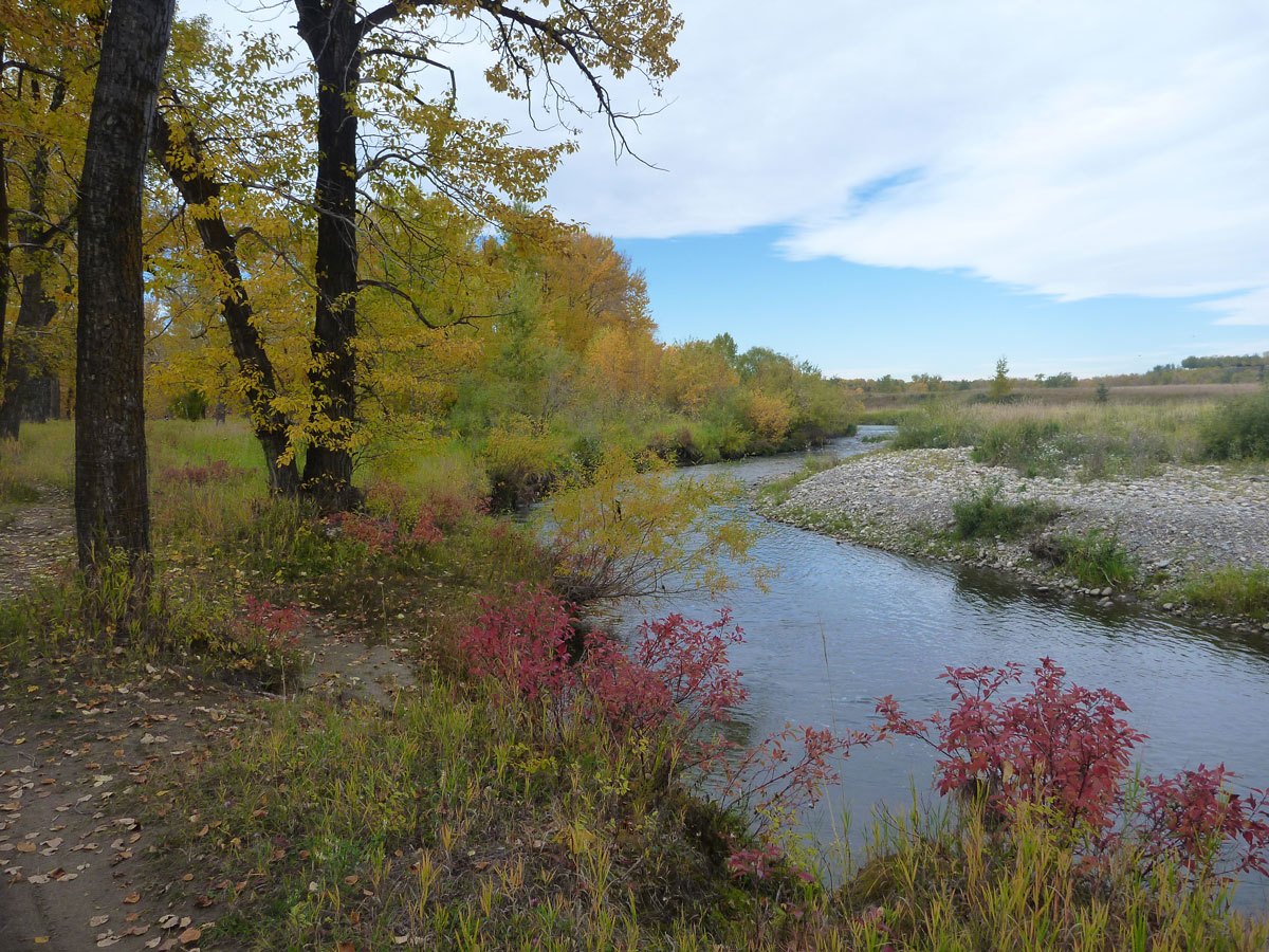 Calgary, Fish Creek Park, Off-Site Activity, Outdoors, River