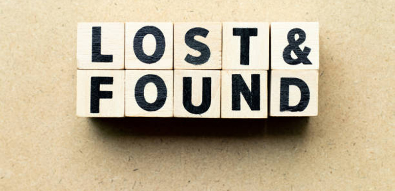 56033f33-61b3-4ae4-b939-5665d3901c20_LostandFound