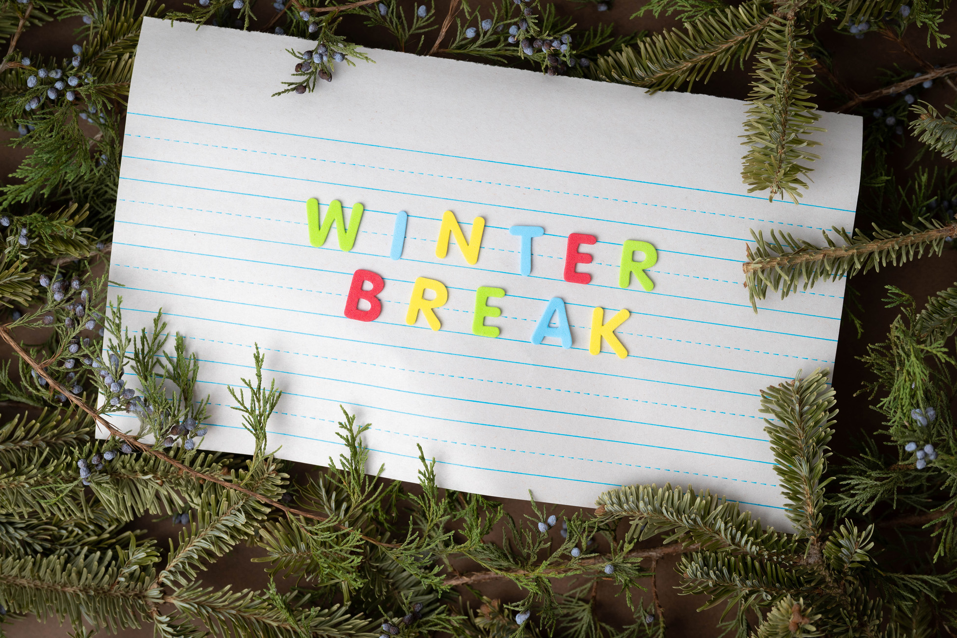 Winter Break, Holidays, Vacation